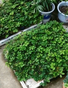 |搞笑GIF:今天运气挺好, 走着走着就捡到一个媳妇