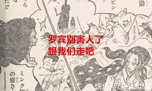 四皇|海贼王1031话青雉原来是cp0的老大,大妈认可基罗有四皇实力