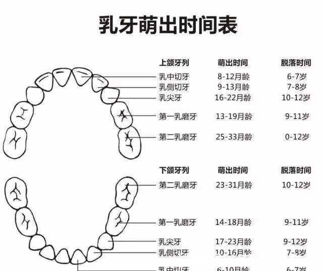 小宝贝们|宝宝开始长牙的信号，在长牙期间，宝妈如何给他们添加辅食