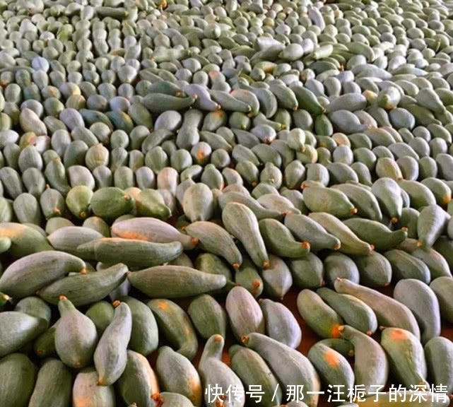 不管抽不抽烟,男人一旦上年纪,要常吃这类食物,腰腿有劲不显老