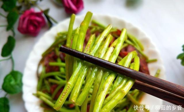 滋养|这道菜一年前是30元一公斤,现在是2元,你应该多吃春天和滋养