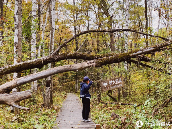 秘密|这个地方的秋天，是傻狍子都不想分享的秘密