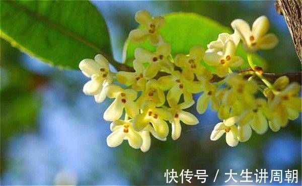 回家过年&花有信,等风来……一支笔写出花开花落、百味杂陈的人生