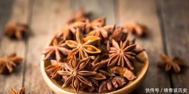 做卤肉,牢记香料“4巨头”,去异增香,防腐解腻,用对了才好吃