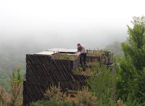 种菜|他用40棵松树，在荒山野林建起小屋，屋顶种菜生活自给自足