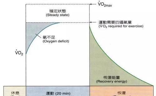 力量训练|节食减肥不利健康又容易反弹，合理饮食加运动，月减10斤不反弹