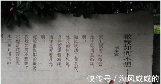 瓦釜集$文学家刘半农发明一个字,被民国女性骂了3年,现在我们却天天用!