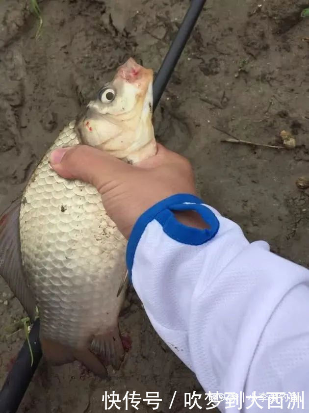 【野钓技巧】野钓不可太随意