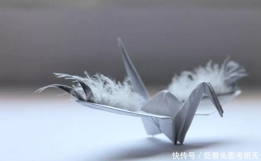 重样|每天折一只千纸鹤,他坚持了1000天不重样,女友被感动到梨花带雨