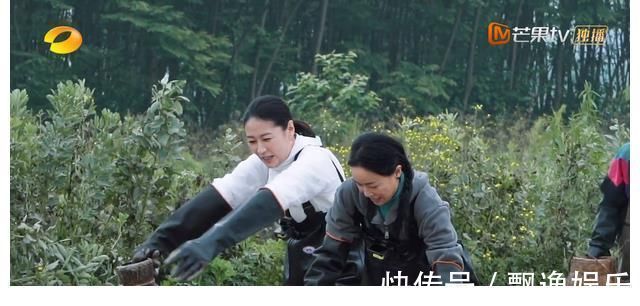 李雪琴|張子楓的真實:融不進去就玩自己的,管你是那英還是梁靜