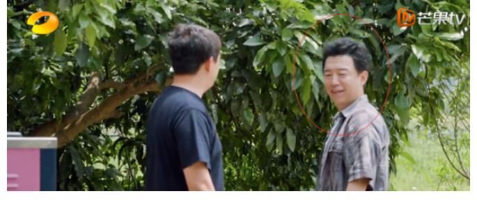 金靖|《向往》未播先火，口碑嘉賓再度場，男人幫重聚網友直呼爺青回