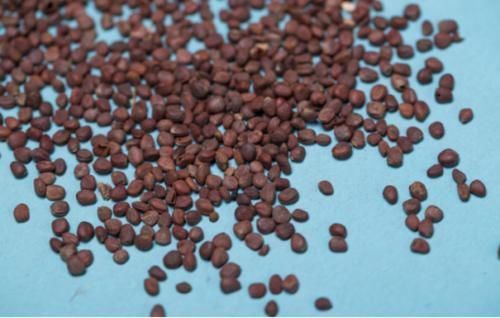 长期便秘拉不出来？医生：1物每天吃一点，或能帮你改善便秘