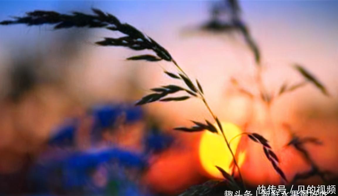  老百姓家|农村流传一句话：“官不入民宅，父不进子房”，老祖宗留下的忠告