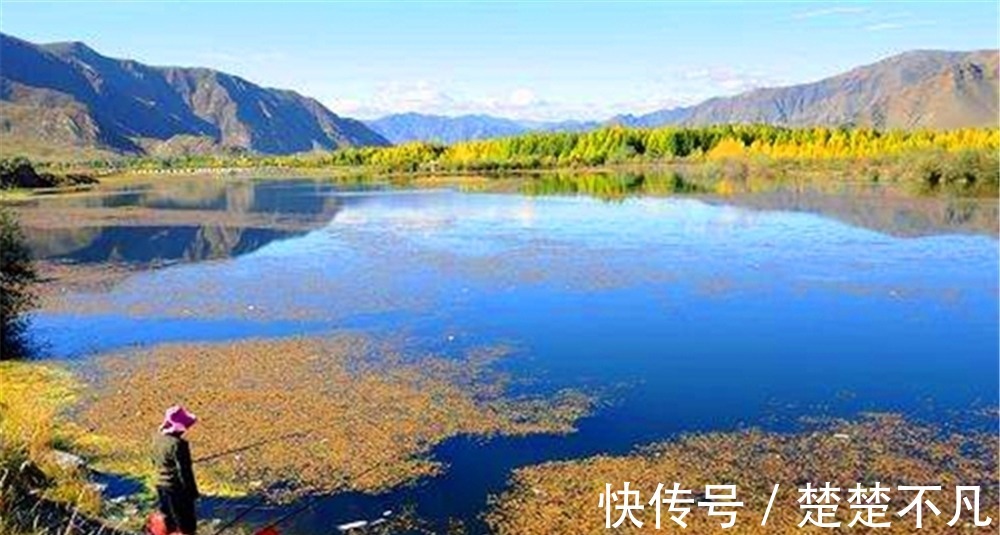 秋季钓鱼,有钓渊、钓阴、钓边几种说法,这钓位到底应该怎么选?