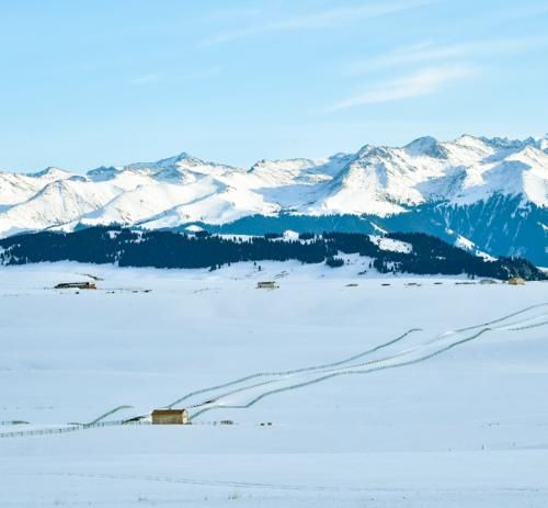 【图说新疆】新疆喀拉峻：茫茫林海雪原 木屋毡房点点