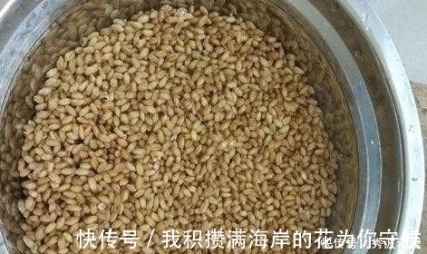 配方|鲫鱼“最上瘾”饵料,水里一抛,方圆30米的鲫鱼死命的咬钩