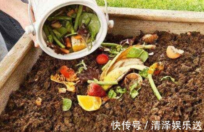 “厨余垃圾”养花也有误区，很多人方法都用错了，难怪养花不好看