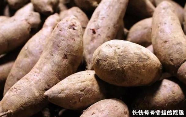 冬季红薯热门抢手货,60岁老中医表示要少吃,吃红薯5个注意点