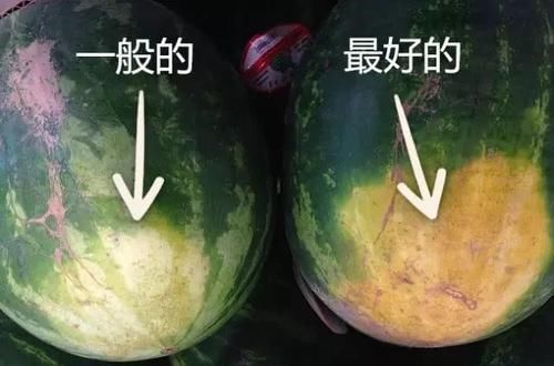 用保鲜膜|不要再拍西瓜了,西瓜分公母,挑选记住四点,皮薄汁多、脆甜沙瓤