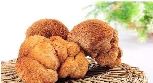 养胃|它们被称为天然的“养胃王”, 平时吃一吃, 修复胃黏膜, 胃病不来扰!