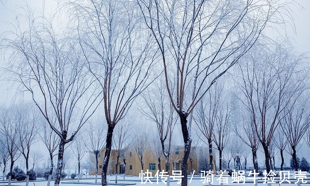 青雾#雪落甘州，诗意雪景美如水墨画！