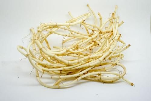 山药|肺结节“溶解剂”或被找到？并非山药和银耳，不妨吃点，对肺好