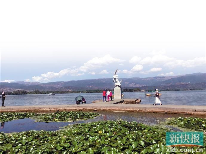 错过西昌紫 你还有邛海蓝|旅游| 西昌古城