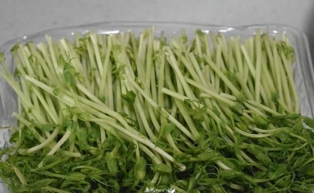 10分钟就能做好这早餐,鲜美又营养,一大碗吃个精光,解馋又管饱