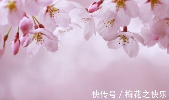 |开心笑话:离老子远点,老子是有家室的人