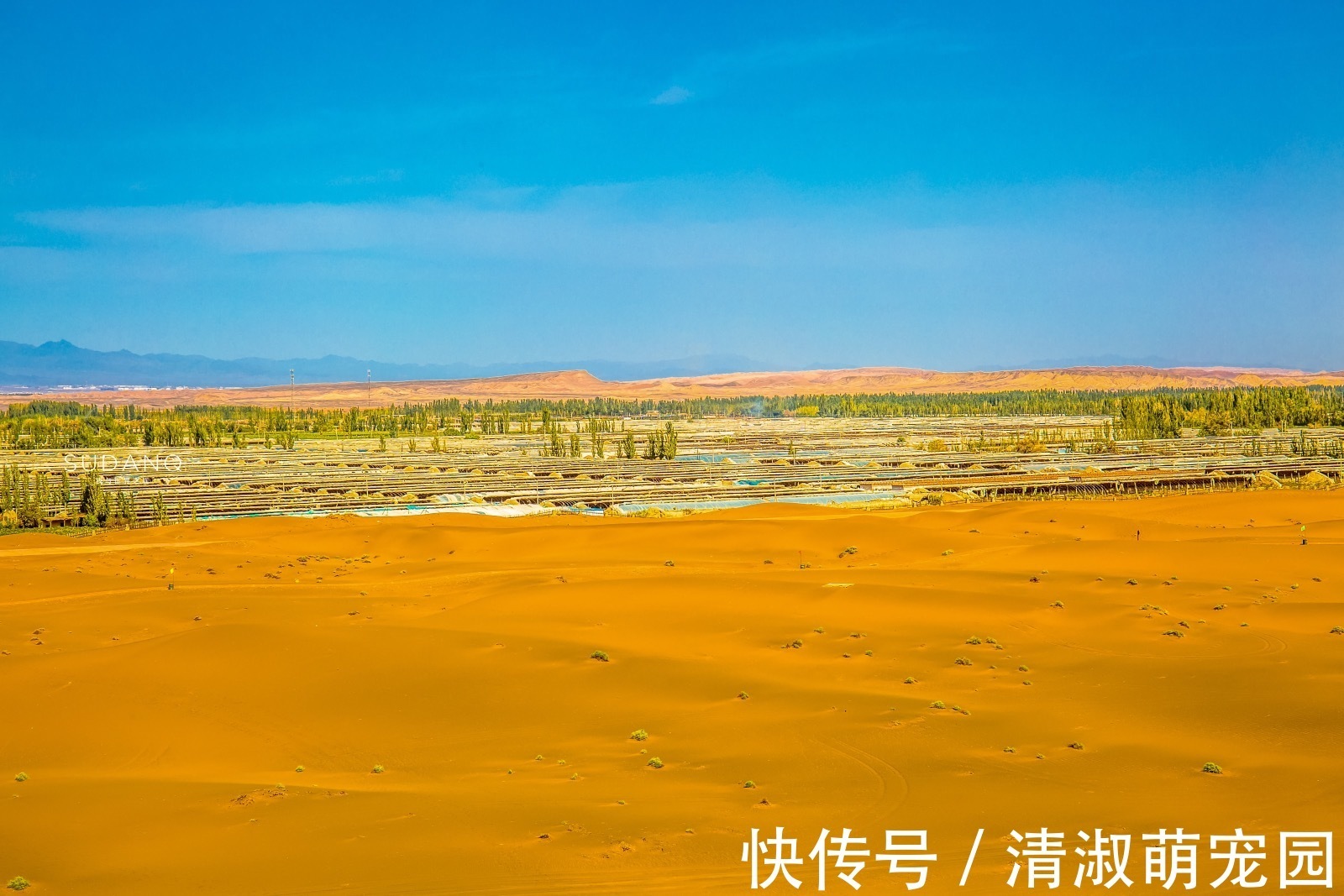 鬼魅碛|世界上唯一与城市相连的沙漠，唐代称“大患鬼魅碛”，神秘又险恶