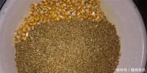 通杀|野钓必杀饵料,通杀青草鲤,大鱼一条接一条,拉杆到手臂疼