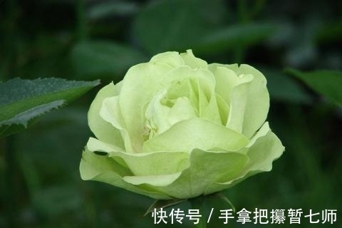贵人|7月26开始,4生肖前有贵人,后有靠山,好日子躲不掉