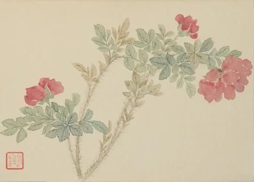 苏博将展“群芳竞秀”，呈现馆藏明清花鸟画作