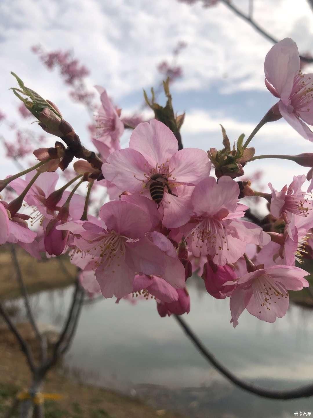 抓住这美好的时光，春天新启航