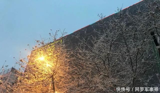 阜城|雪中的阜城东部仿宋式建筑群