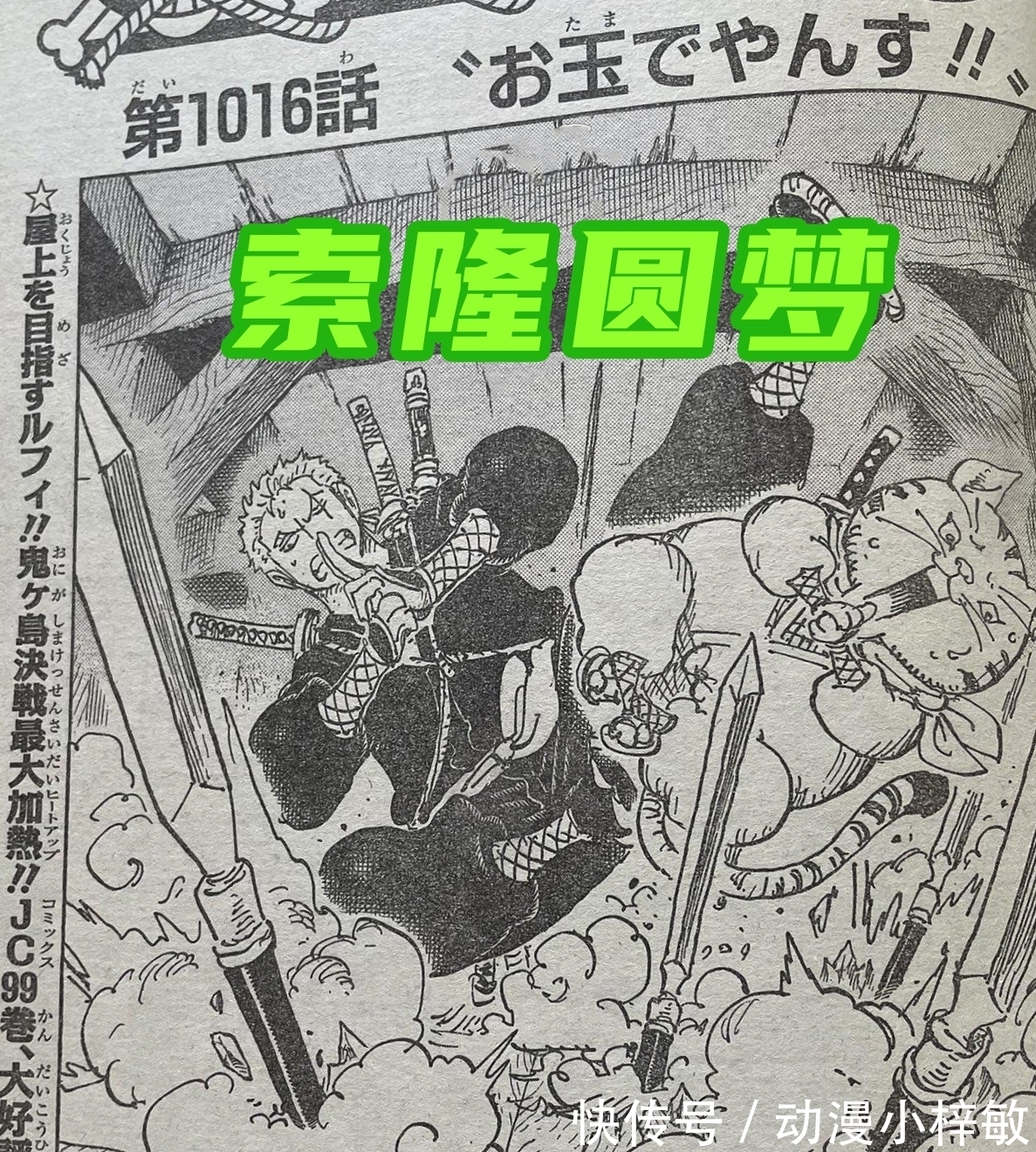 娜美|海贼王1016图解:尾田帮索隆“圆梦”,娜美意外收获四皇招式