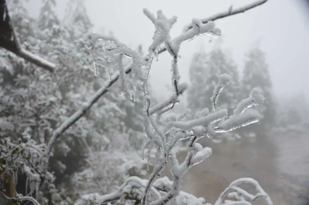 冰雪|绝美雪景！古蔺邀请你来体验“冰雪奇缘”