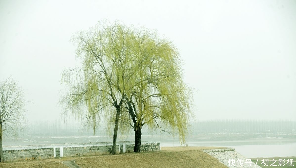 山东聊城：“雪之吻”纹出黄河岸边美