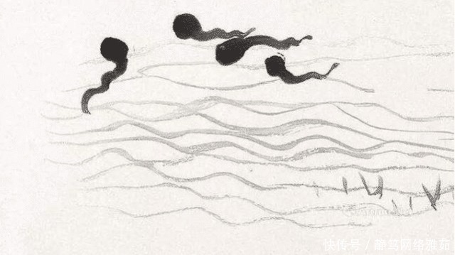 里出山泉|齐白石91岁时画6只蝌蚪,放大10后发现奥秘,专家:值1亿!