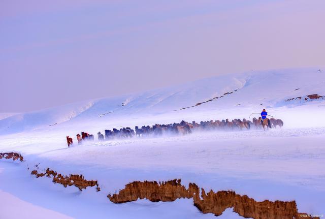 韦成柏$时逢小雪北风忽,旷野空山草萎枯。《小雪》诗词63首
