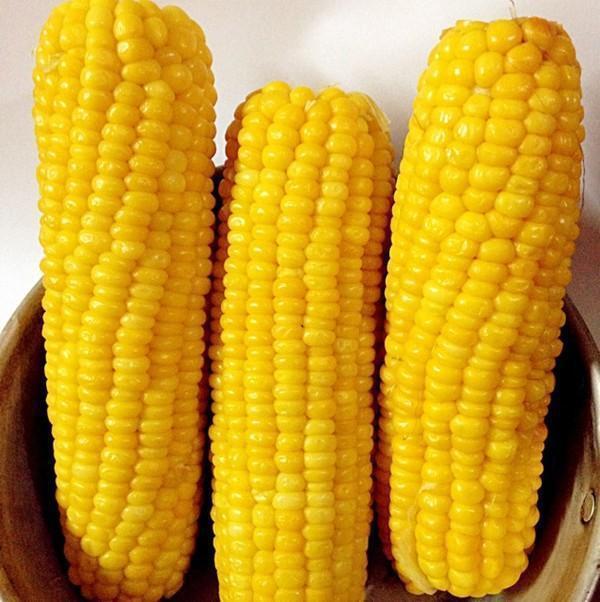 油炸食物|高血脂的人能吃玉米吗?血脂偏高的人,这几种食物应尽量少吃