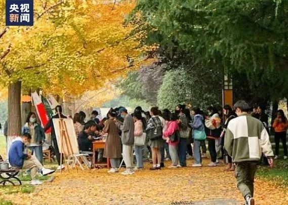 陕西师范大学|太浪漫！这所高校收集上千片叶子，只为这件事