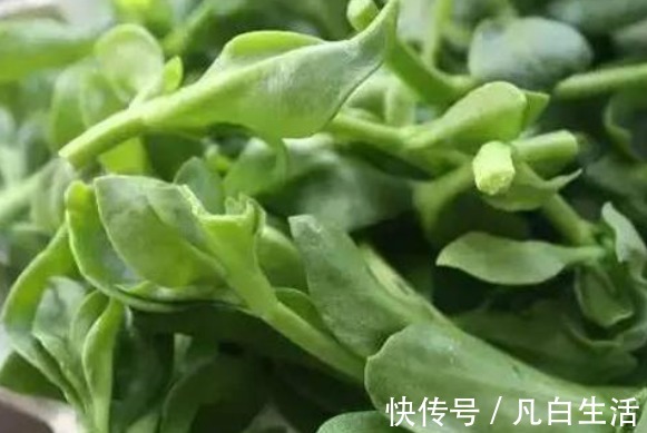 血管堵塞|30岁的女性常吃3种蔬菜“护肝美容”不会出现血管堵塞