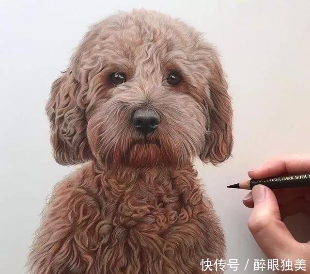 她仅凭1支彩铅就把小狗画活了,还一举俘获近100万粉丝!