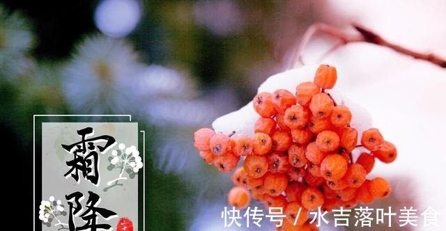 明日霜降,有钱没钱,多吃这8道菜,应季而食营养足,人也更精神!