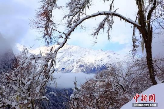 今日|今日小雪 | 天冷勿忘加衣 愿你今冬一切安好