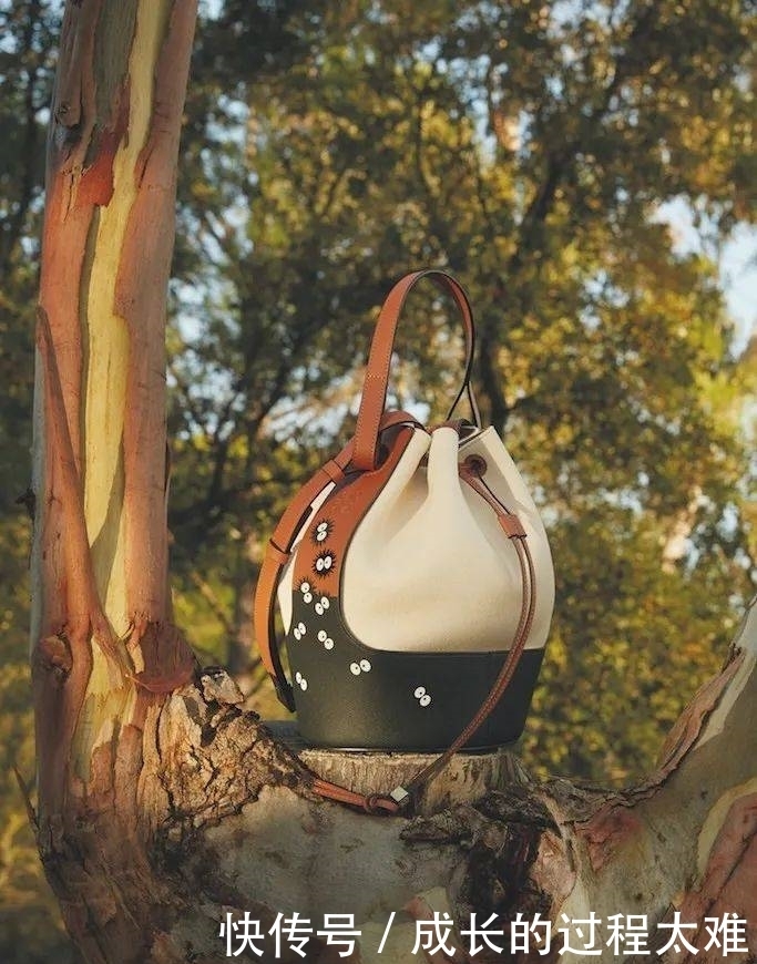 LOEWE即将带来《龙猫》系列合作,下月正式发售!