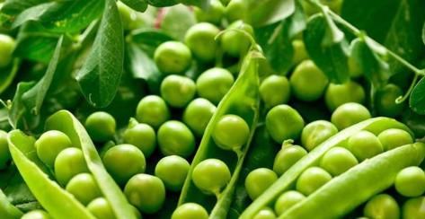 无论男女，人到中年常吃3豆，女性吃有百益，能养生，能养人