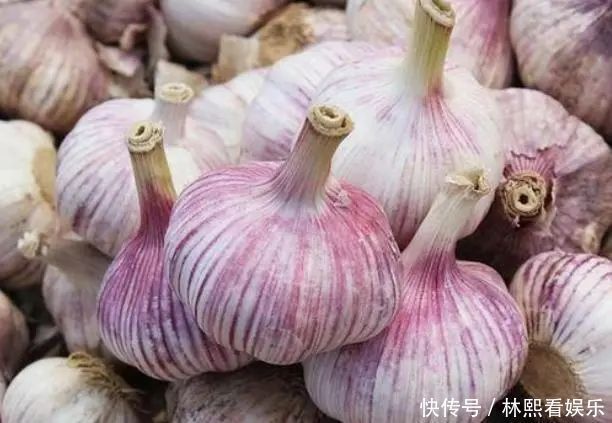 为什么买回家的大蒜容易发芽，而超市里的不会发芽看完就懂了
