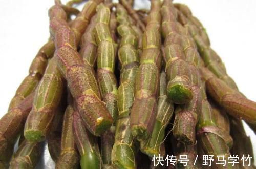 黑蒜|糖尿病的“救星”来了，每天吃一点，稳定血糖，比打胰岛素都强